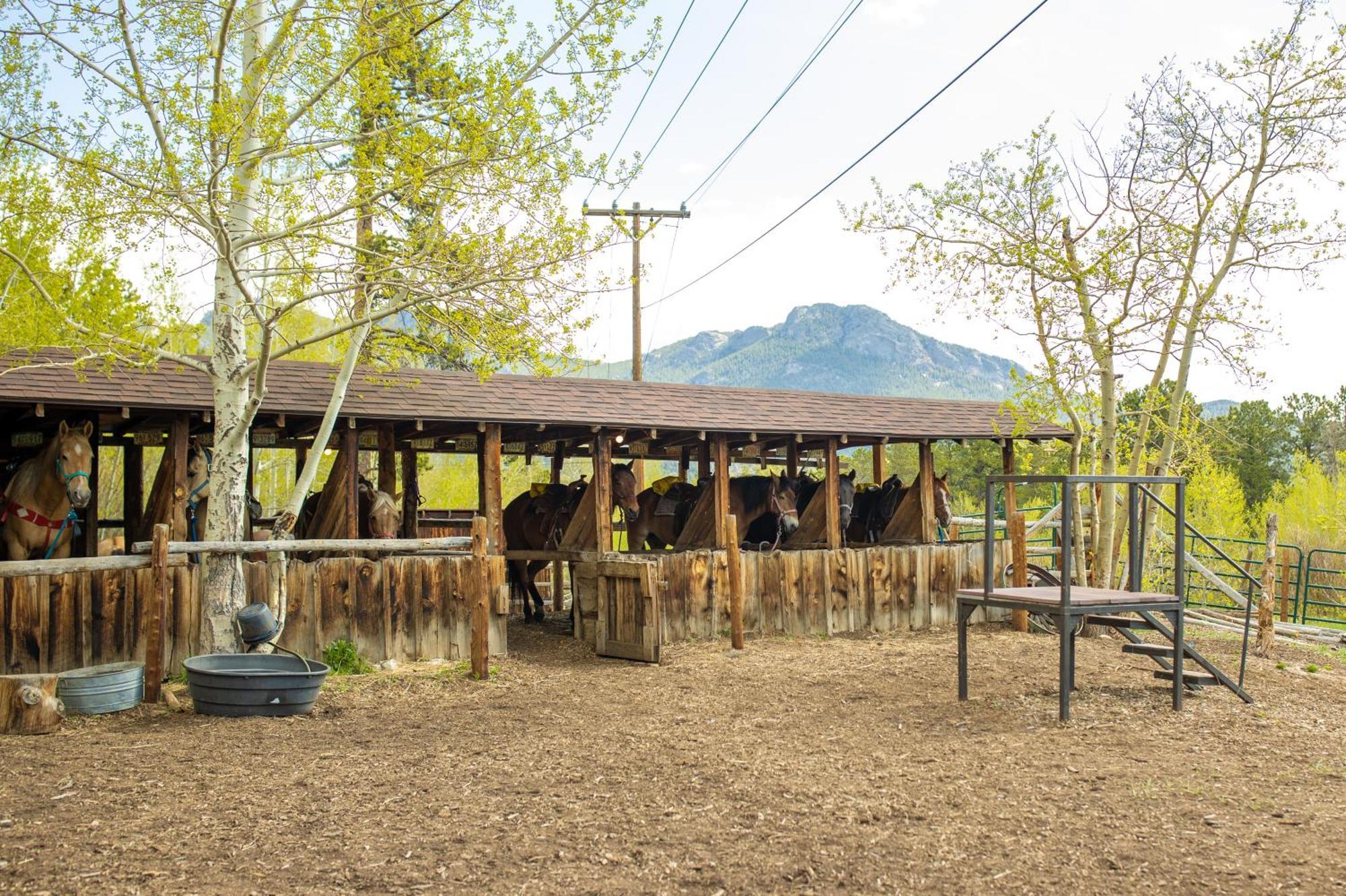 Allenspark The Meeker Park Lodge מראה חיצוני תמונה