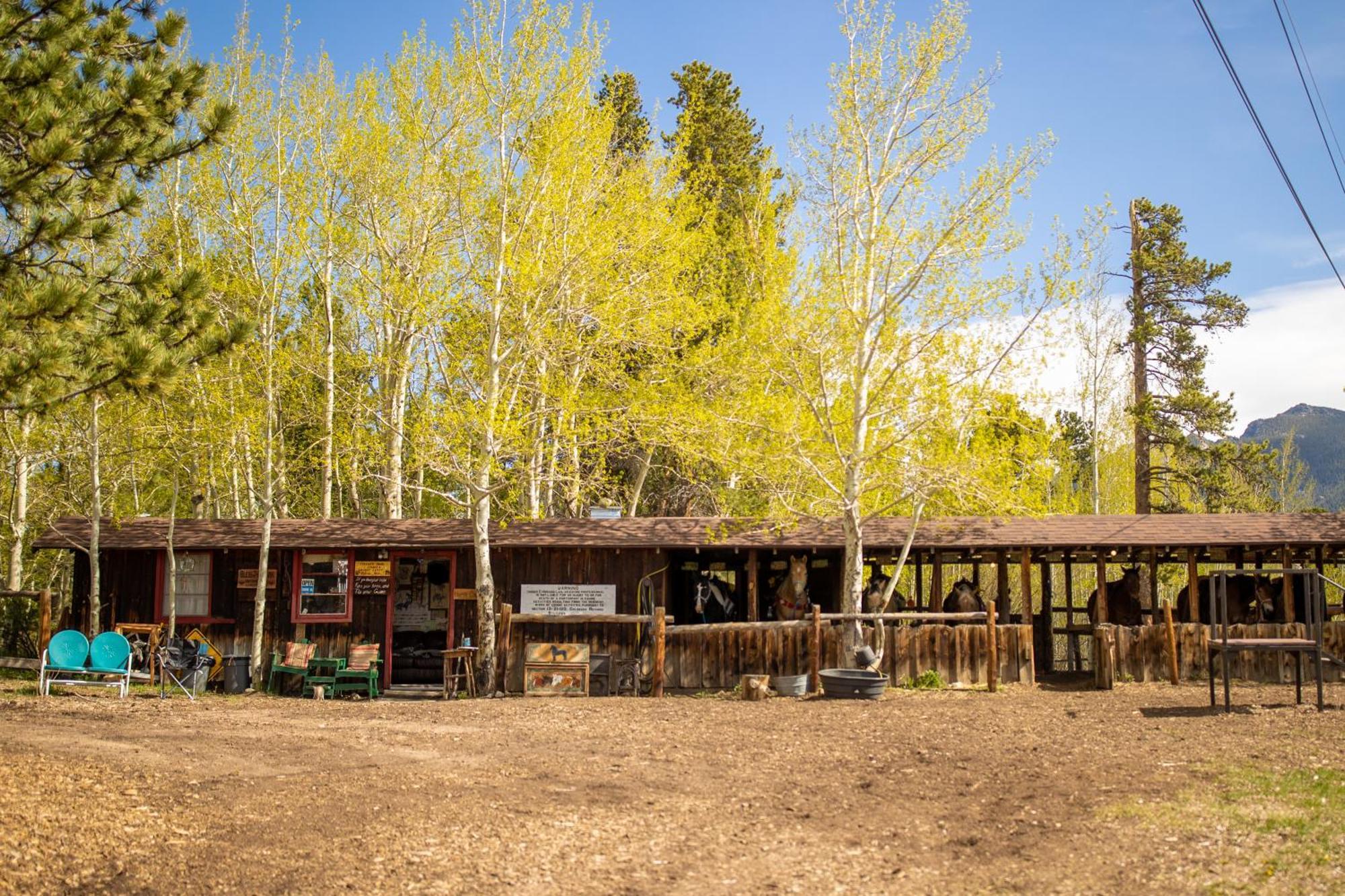 Allenspark The Meeker Park Lodge מראה חיצוני תמונה